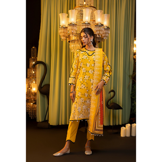 3 Piece – Unstitched Embroidered Cutwork Khaddar Suit – RegS0087654