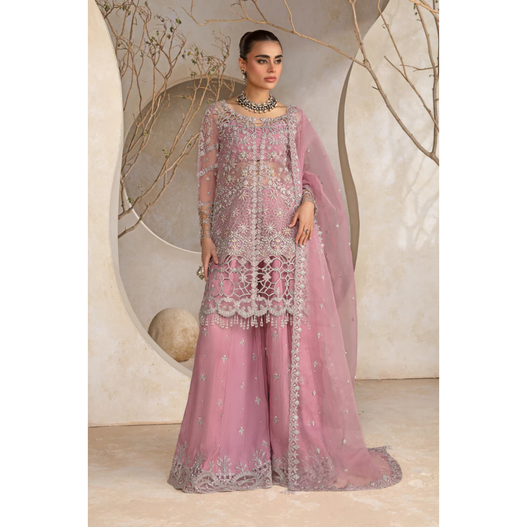 3 Piece- Embroidered Organza Suit-AHXANF10