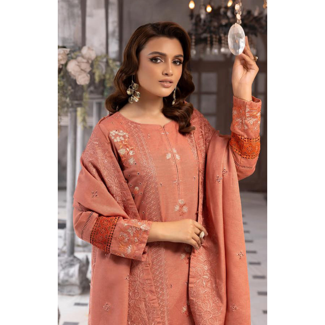 3 Piece – Unstitched Cutwork Embroidered Suit – SN562801